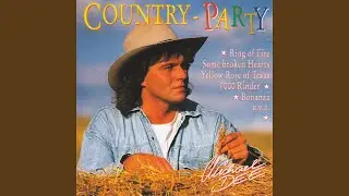 Ich steh' auf Country-Music