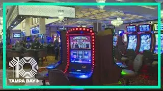 Florida sports betting withstands legal challenge, but experts say don't bet on it just yet