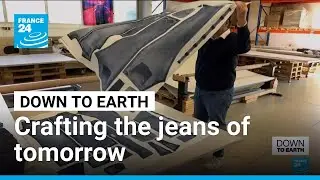 Denim revolution: How plants and tech are cleaning up jeans' dirty secret &bull; FRANCE 24 English
