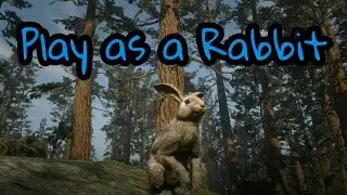 Red Dead Online - Play as a Rabbit (Vitalism Studies)