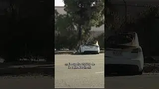 Tres personas hospitalizadas tras incendiarse un Tesla durante un accidente