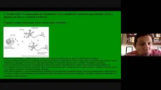 Resolução de Exercícios -  SISTEMA NERVOSO