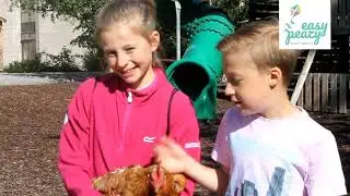 The Best Family Holidays in Ireland
