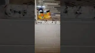 granite shower niche