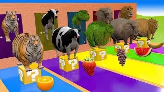 Animal crossing function | fountain crossing animal transformation | fountain crossing with gorilla