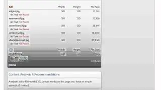 Increase Search Engine Rankings | Start Ranking Higher