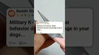 Military k9 trainers, what did you do that broke every protocol #reddit