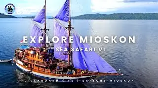 Mioskon, Raja Ampat - Sea Safari VI