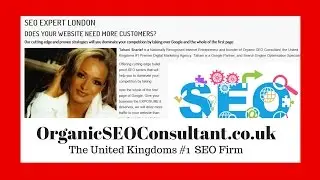 SEO Packages for Small Business