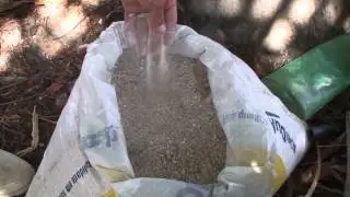 Agrofloresta PB