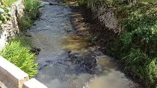 Hoje no riu das antas 