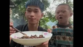 Catch insects to eat #natural #cooking #shortvideo #food #asmrvideo #life #amazing #subscribe