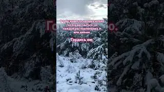 Гордись ею #piano #music #soundtrack #любовь #цитатыпрожизнь #цитатыосмысле #лес #цитаты #мотивация