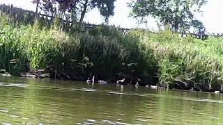 bienvenue a bord de la peniche soclaine :)
