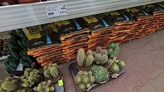 Комнатные растения в Германии #top #nature #plants #garden #