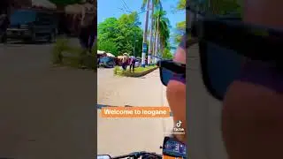 Leogane Haiti 🇭🇹
