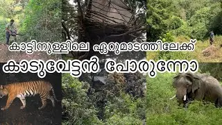 Part=2 കാട്ടിലെ വിഭവസമൃദ്ധമായിട്ടുള്ള ഭക്ഷണം 🥘😋