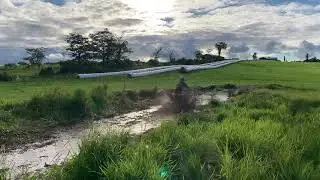 Mud bog