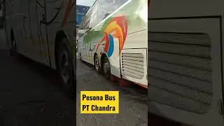 Pesona Bus PT Chandra