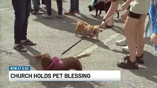 First United Methodist Church hosts pet blessing event