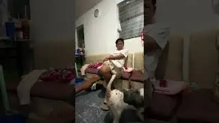 Pranking papa