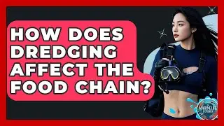 How Does Dredging Affect The Food Chain? - The Marine Life Explorer