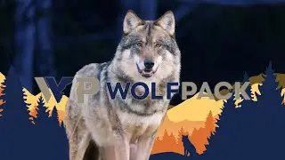 WolfPack Industries, USA introduces the power of the Pack.