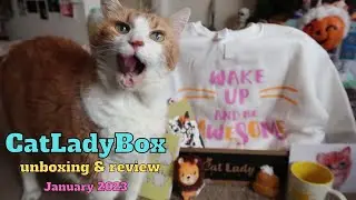 CatLadyBox Unboxing | January 2023