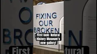 Natural History Museum opens new gallery