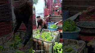 #banana #loding #farming