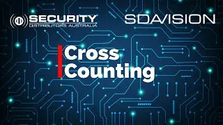 SDAVision - Cross Counting Set Up