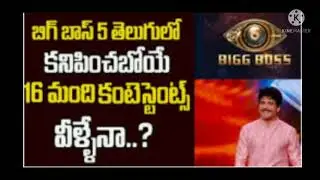 //latest updates & contestants list on bb5//