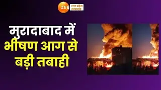 Fire In Muradabad : कपड़े के 5 गोदाम में लगी आग, भीषण आग से इलाके में दहशत | Breaking News |