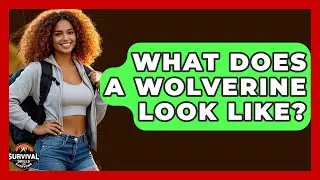 What Does A Wolverine Look Like? - Survival Skills for Everyone