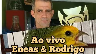 ENEAS E RODRIGO