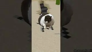 OH LAWD HE COMIN😱 #shorts #viralshorts #cat #minecraft