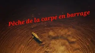 P&ecirc;che de la carpe en Lac de barrage 2k21