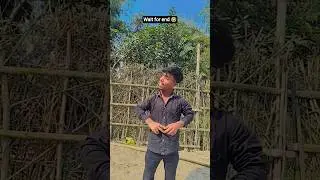 #loop