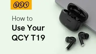 How to use QCY T19? QCY T19 User Guide