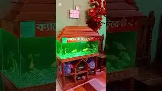 kafe ASA restaurant asulia savar Dhaka