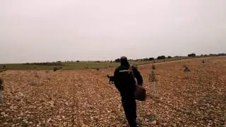 #Trufa negra en plantaci&oacute;n de 4 a&ntilde;os!