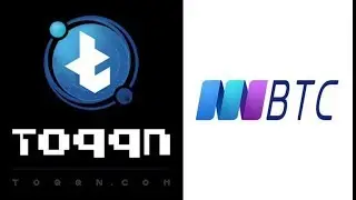 Обзор проекта OOOBTC EXCHANGE & TOQQN