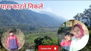 आज घास काटने गई बेटा लक्की भी साथ आया 🥰