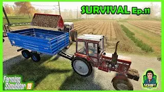 Beets With Small Equipment! - FS19 - SURVIVAL🪓Ep.11
