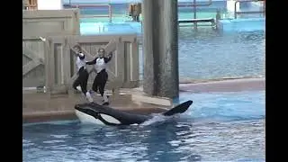 The Shamu Adventure Show - SeaWorld, Florida 05-31-2003