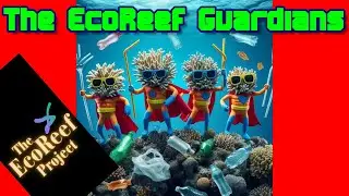 EcoReefs Turning Waste Into Powerful Reef Guardians For Protection And Better Waterways