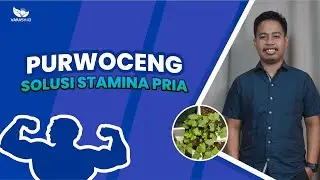 PURWOCENG ! Solusi Stamina Pria