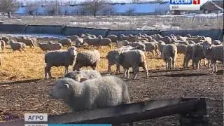 Агро Вести КБР 01 03 2015