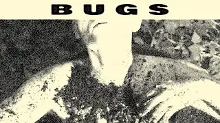 Slow Funeral - Bugs
