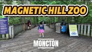 Magnetic Hill Zoo Walkthrough 2025 | Best Family Spot in Moncton!